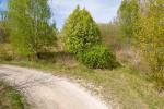 undefined-thumbnail
