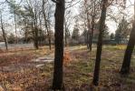 undefined-thumbnail
