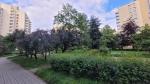 undefined-thumbnail