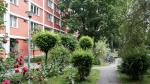 undefined-thumbnail