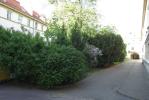undefined-thumbnail