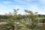 undefined-thumbnail