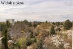 undefined-thumbnail