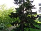 undefined-thumbnail