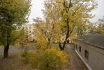 undefined-thumbnail