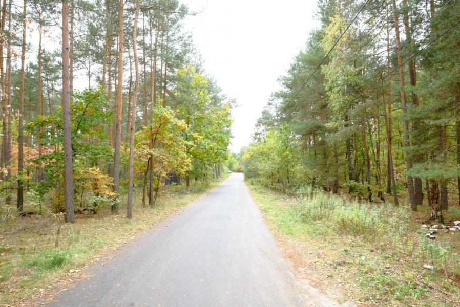Warszawa Białołęka, Forsycji