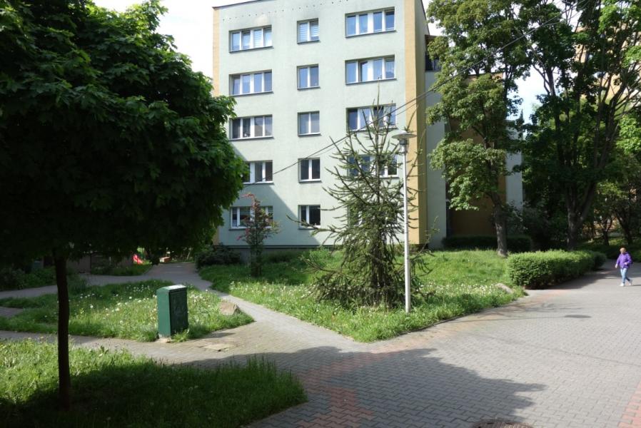 Warszawa Ursynów, Koński Jar