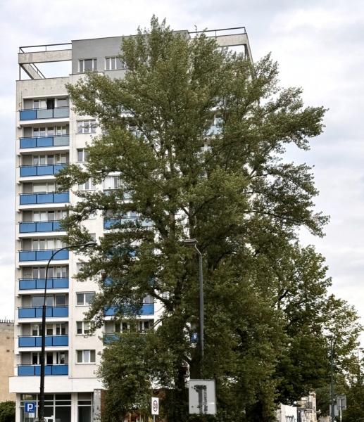 Warszawa Praga-Południe, Bliska
