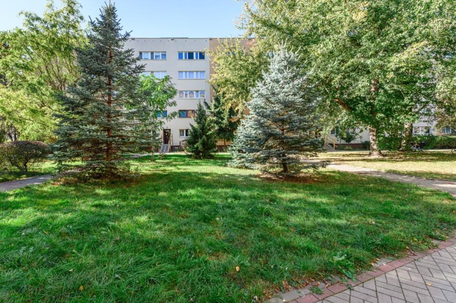 Warszawa Ochota, Adolfa Pawińskiego