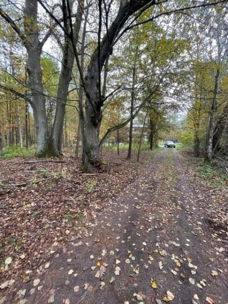 Warszawa Wesoła, Torfowa