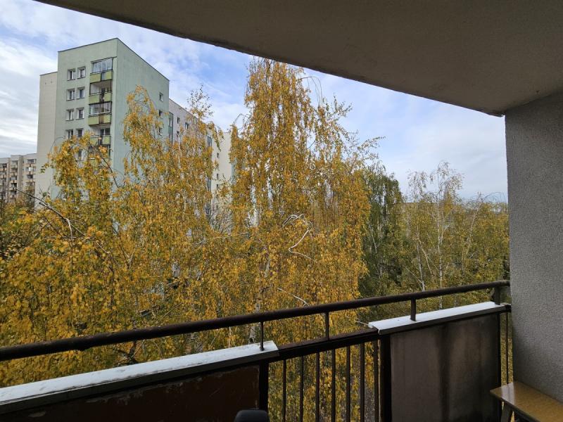 Warszawa Bemowo, Mieczysława Wolfkego