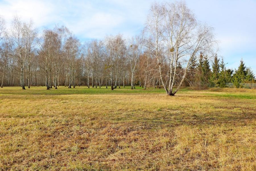 Warszawa Ursynów, Hołubcowa