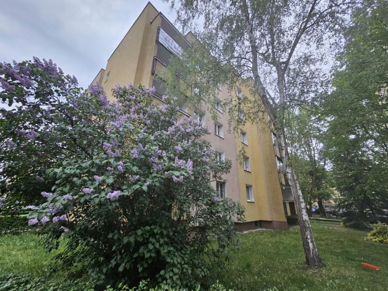 Warszawa Bemowo, Mieczysława Wolfkego