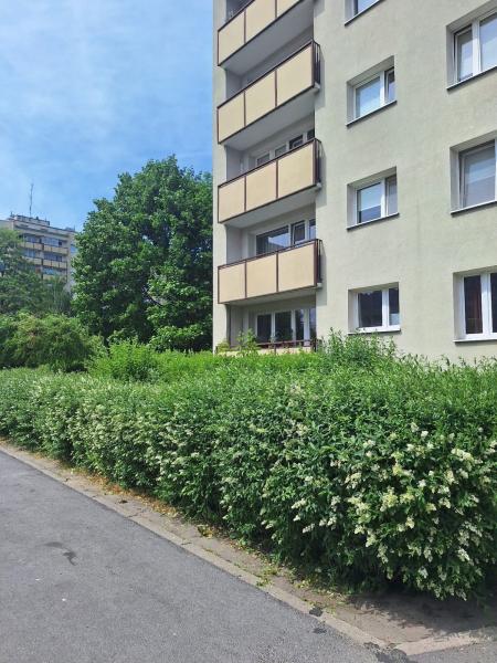 Warszawa Bemowo, Arki Bożka