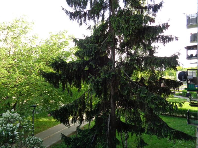 Warszawa Targówek, Suwalska