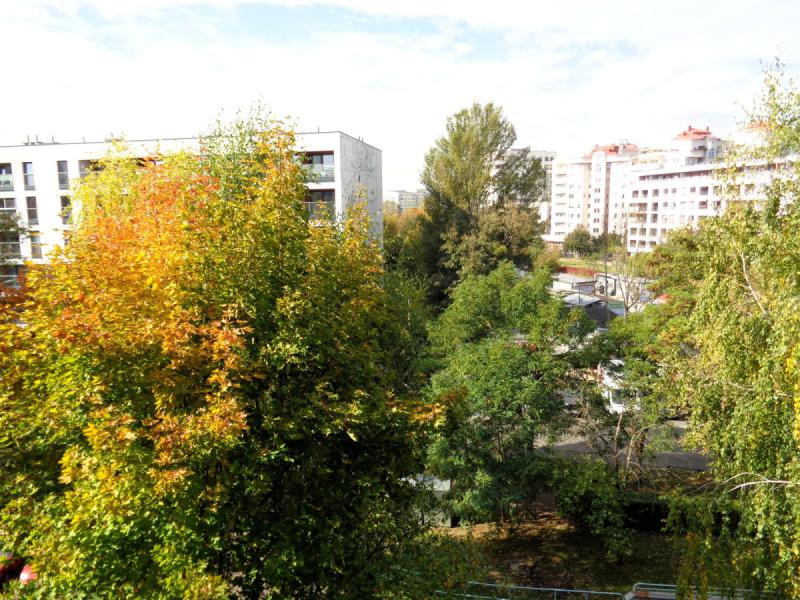 Warszawa Ochota, Stefana Baleya